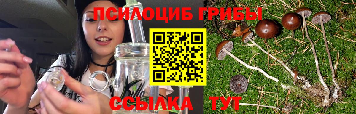 Псилоцибиновые грибы Psilocybine cubensis  Псилоцибиновые грибы мицелий  Реж  Вход с VPN 